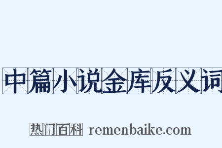 中篇小说金库反义词是什么意思的图片